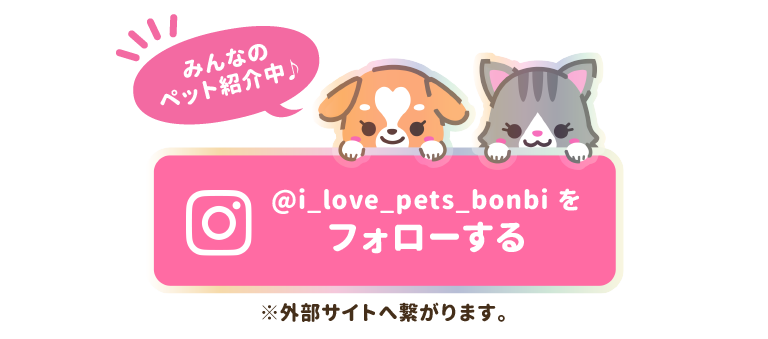 「@i_love_pets_bonbi」をフォローする