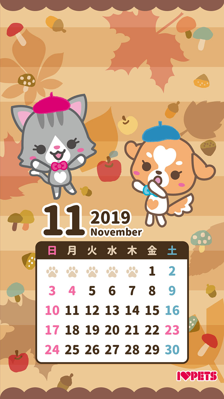 2019年ボン・ルコオリジナルカレンダー11月