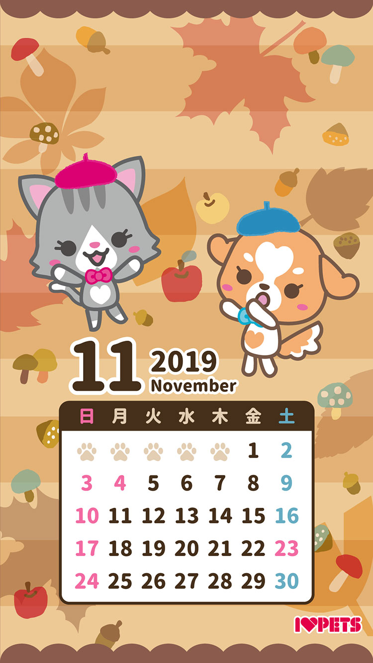2019年ボン・ルコオリジナルカレンダー11月