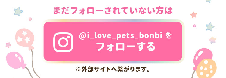 まだフォローされていない方は「@i_love_pets_bonbi」をフォローする※外部サイトへ繋がります。