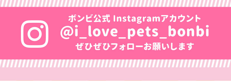 ボンビ公式Instagramアカウントぜひぜひフォローお願いします。