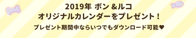 2019年ボン＆ルコオリジナルカレンダーをプレゼント!